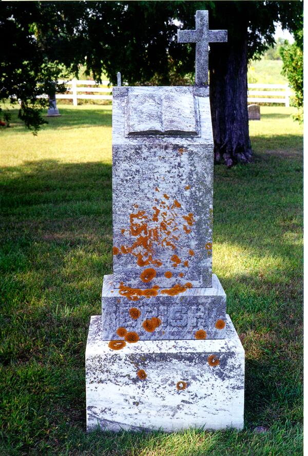 image of headstone